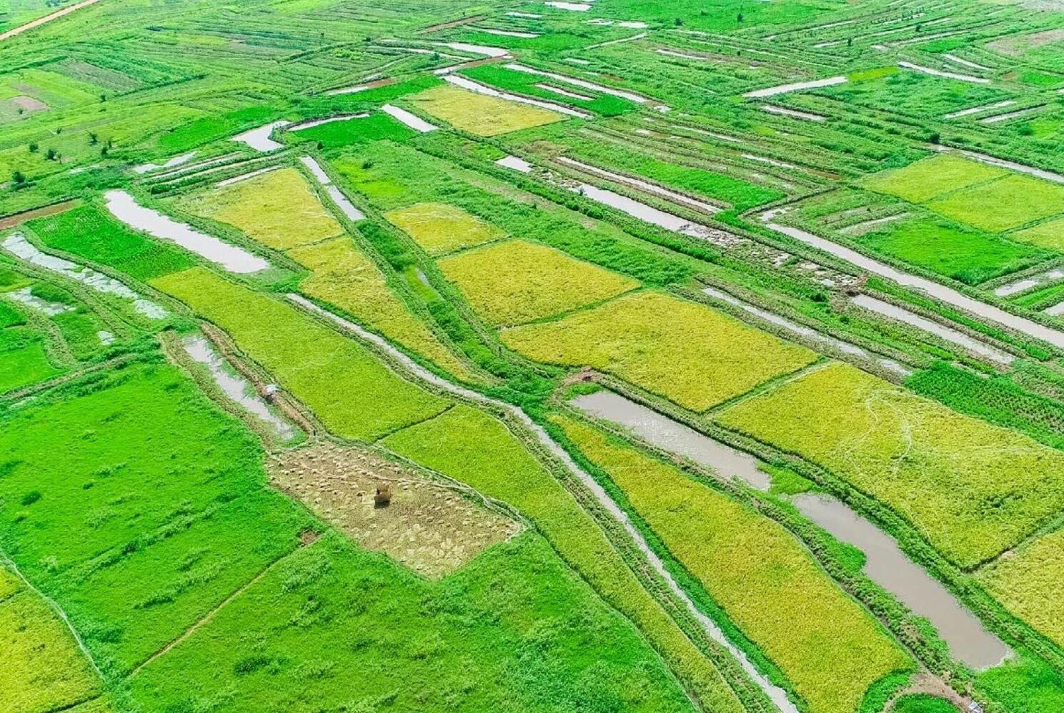 Hydro agri